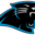 Nfl-panthers-logo_small